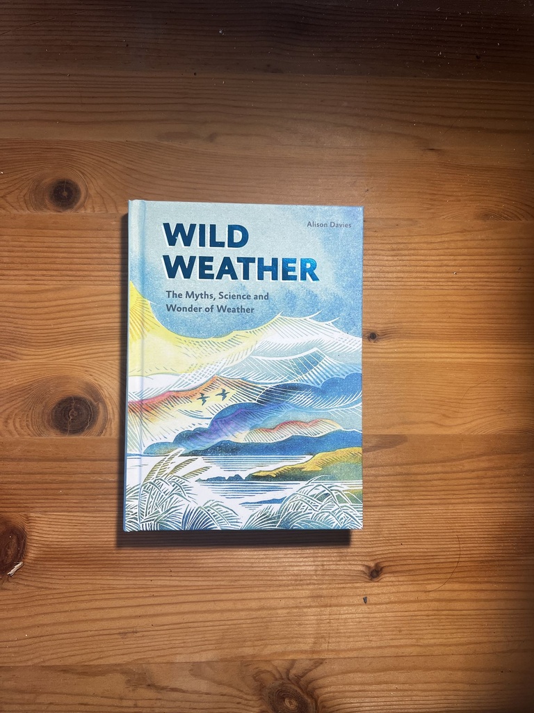 Wild Weather: Alison Davies [New] [Hardcover[